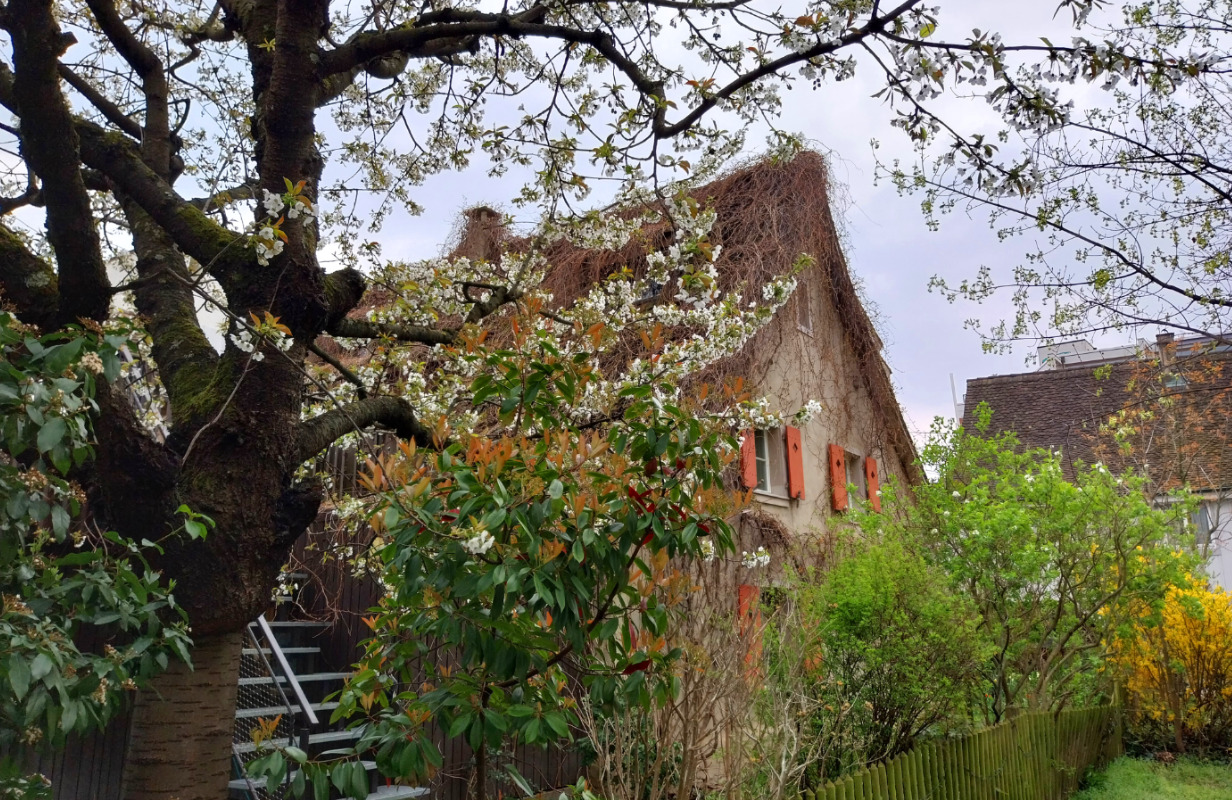 fischerhaus schulgasse