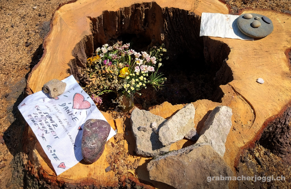 abgesaegter baum mit gedenkstaette