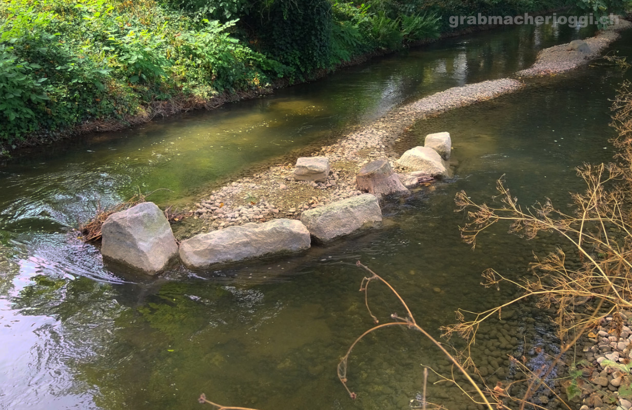 der st.alban-teich in der lehenmatt