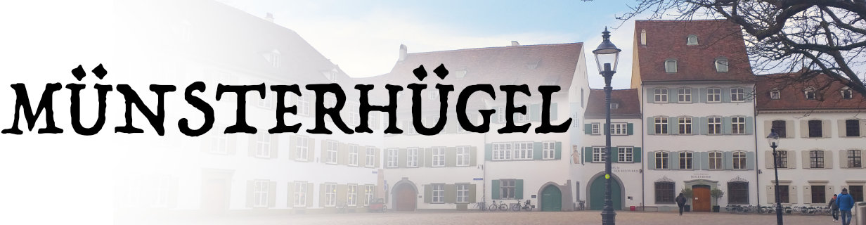 fotos vom muensterhuegel